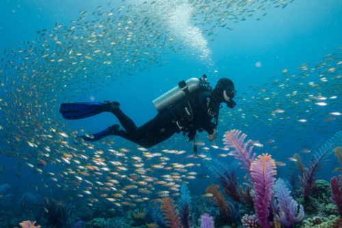 Open Water Dive